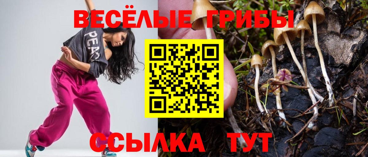 Псилоцибиновые грибы GOLDEN TEACHER  Вход с VPN  Псилоцибиновые грибы Psilocybe  Кыштым 