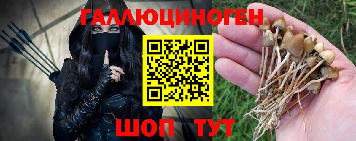 Галлюциногенные грибы прущие грибы Кыштым